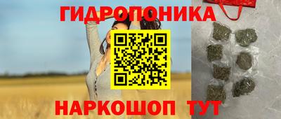 трава Бийск