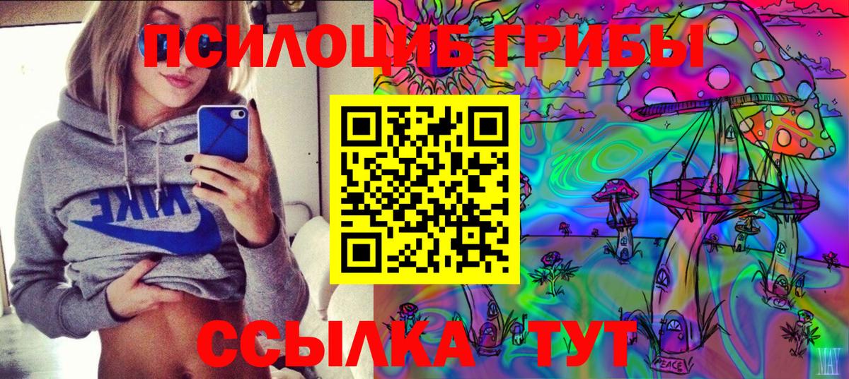 Губаха  Псилоцибиновые грибы мицелий  Вход с VPN 