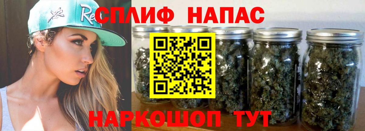 Канабис семена Губаха